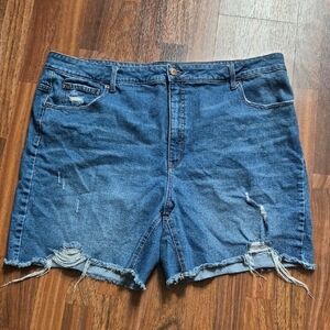 Terra & Sky Blue Jean Shorts Distressed Cut-Off Style